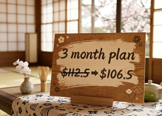 3-Month Plan