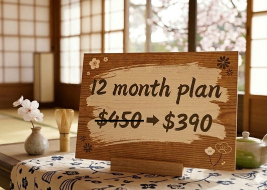 12-Month Plan